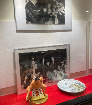相撲写真と像